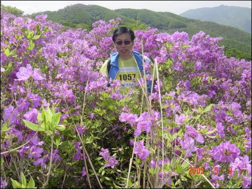 2006년 5월 일림산 철쭉 꽃밭에 필자가 오르다. 